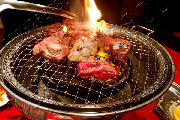 烤肉篦子